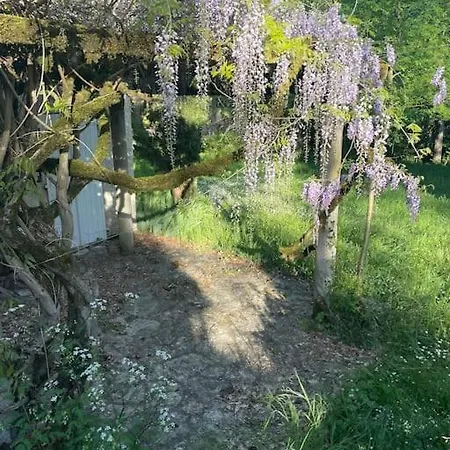 Maison De Famille, Bord De Riviere * Bruniquel